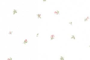 Papel de Parede Norwall Wallcoverings Abby Rose 3 Ref.:AB47626