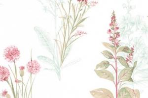 Papel de Parede Norwall Wallcoverings Abby Rose 3 Ref.:AB42442